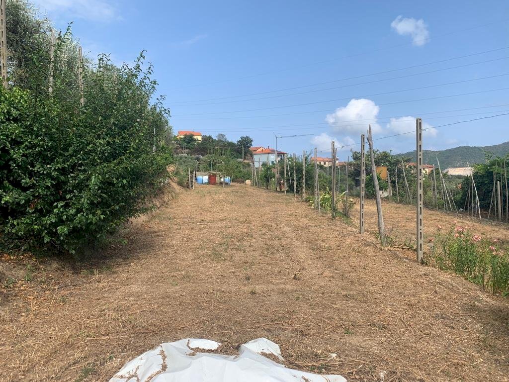 Terreno Segno (3).jpeg - Terreno edificabile Via Nino Bixio, Vado Ligure - foto 3