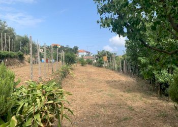 Terreno Segno (1).jpeg - Terreno edificabile Via Nino Bixio, Vado Ligure - foto 1