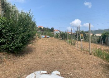 Terreno Segno (3).jpeg - Terreno edificabile Via Nino Bixio, Vado Ligure - foto 3