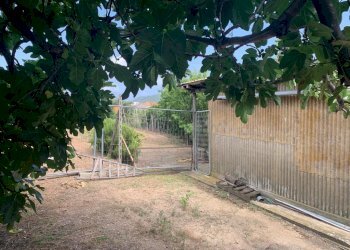 Terreno Segno (5).jpeg - Terreno edificabile Via Nino Bixio, Vado Ligure - foto 4