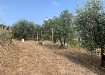 Terreno Segno (6).jpeg - Terreno edificabile Via Nino Bixio, Vado Ligure - foto 5