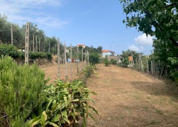 Terreno Segno (7).jpeg - Terreno edificabile Via Nino Bixio, Vado Ligure - foto 6