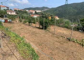 Terreno Segno (9).jpeg - Terreno edificabile Via Nino Bixio, Vado Ligure - foto 8