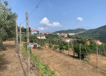 Terreno Segno (10).jpeg - Terreno edificabile Via Nino Bixio, Vado Ligure - foto 9