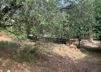 Terreno Segno (18).jpeg - Terreno edificabile Via Nino Bixio, Vado Ligure - foto 15