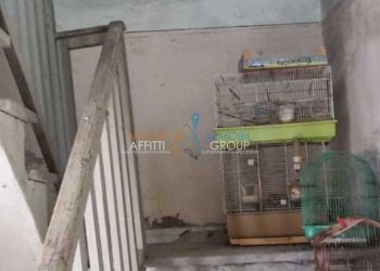 WhatsApp Image 2023-07-21 at 14.31.26.jpeg - Terratetto - Terracielo Via Camponuovo 15, Massa - foto 4