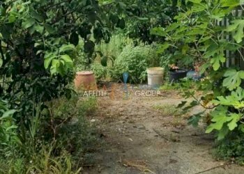 WhatsApp Image 2023-07-21 at 14.31.26 (1).jpeg - Terratetto - Terracielo Via Camponuovo 15, Massa - foto 5