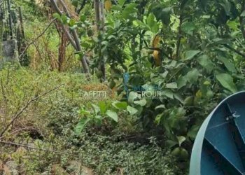 WhatsApp Image 2023-07-21 at 14.31.28.jpeg - Terratetto - Terracielo Via Camponuovo 15, Massa - foto 8