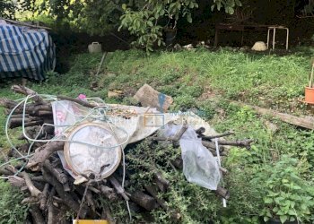 IMG_8420.JPG - Villa a Schiera Via della Posta 43, Massa - foto 25