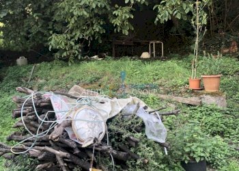 IMG_8421.JPG - Villa a Schiera Via della Posta 43, Massa - foto 26