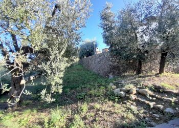 GIARDINO - Villa via Giro delle Mura, Montelupo Fiorentino - foto 15