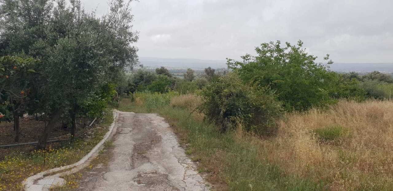 2.jpg - Terreno edificabile Siracusa - foto 2