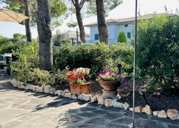 IMG_7616.jpg - Trilocale Rosignano Marittimo - foto 23