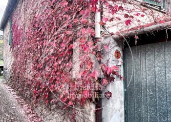 IMG_0873.jpeg - Terratetto - Terracielo Via San Rocco 2, Quiliano - foto 13