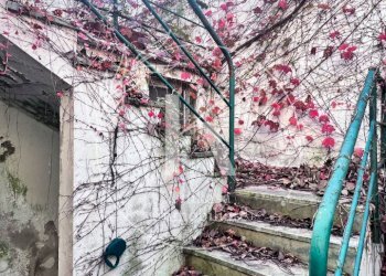 IMG_0841.jpeg - Terratetto - Terracielo Via San Rocco 2, Quiliano - foto 23