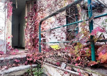 IMG_0843.jpeg - Terratetto - Terracielo Via San Rocco 2, Quiliano - foto 25