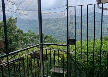 Casa indipendente Lumarzo - foto 8