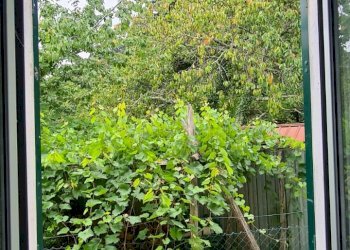 Casa indipendente Lumarzo - foto 11