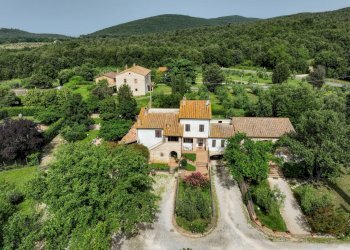 Rustic Amelia - photo 2