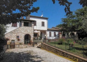 Rustic Amelia - photo 4