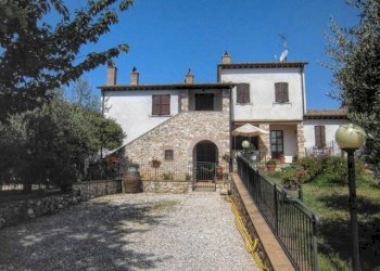 Rustic Amelia - photo 5