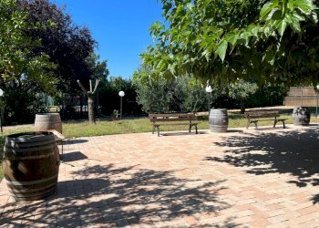 Rustic Amelia - photo 18