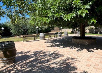 Rustic Amelia - photo 19