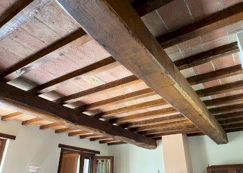 Rustic Amelia - photo 21