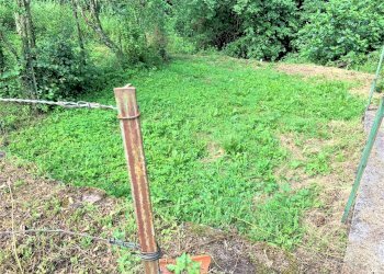 orto - Villa Via del Cerbino, Vernio - foto 21