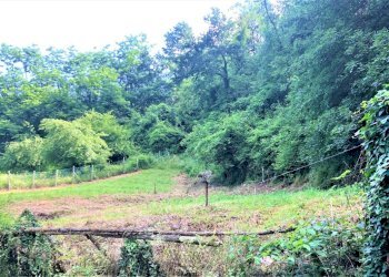 terreni - Villa Via del Cerbino, Vernio - foto 22