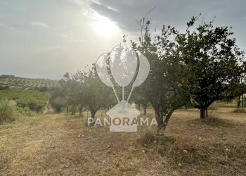 Casale contrada cappello, Balestrate - foto 8