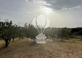 Casale contrada cappello, Balestrate - foto 9