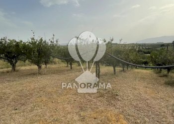 Casale contrada cappello, Balestrate - foto 13