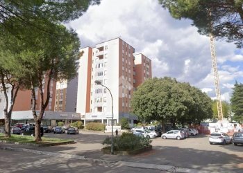 Negozio via donizetti, Imola - foto 3