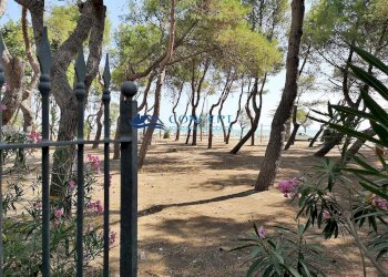 Trilocale via taormina, Martinsicuro - foto 4