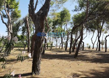 Trilocale via taormina, Martinsicuro - foto 17