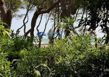 Trilocale via taormina, Martinsicuro - foto 19