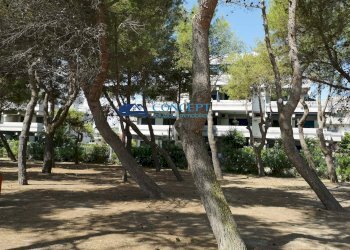 Trilocale via taormina, Martinsicuro - foto 21