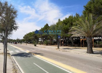 Trilocale via taormina, Martinsicuro - foto 23