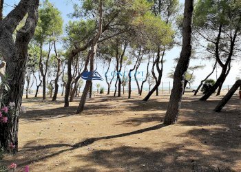 Trilocale via taormina, Martinsicuro - foto 24