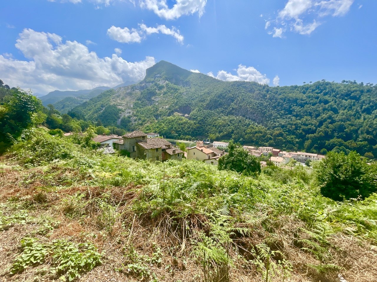 IMG_7084 2.JPG - Casale Seravezza - photo 3