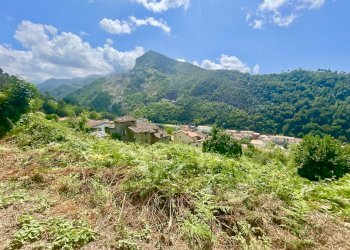 IMG_7084 2.JPG - Casale Seravezza - foto 3