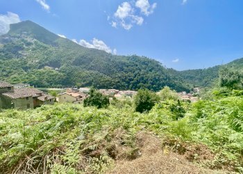 IMG_7085 2.JPG - Casale Seravezza - foto 4