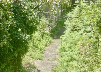 IMG_7089 3.JPG - Casale Seravezza - foto 5