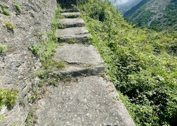 IMG_7091 2.JPG - Casale Seravezza - foto 7