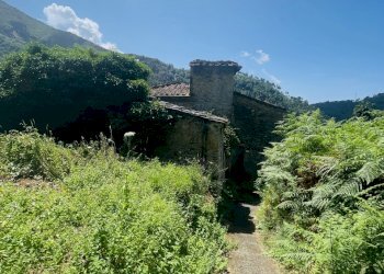 IMG_7092 3.JPG - Casale Seravezza - foto 8