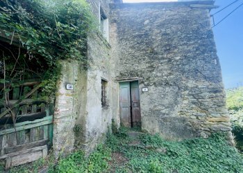 IMG_7094 2.JPG - Casale Seravezza - foto 11