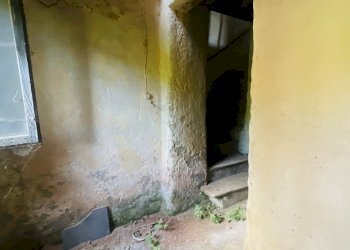 IMG_7100 2.JPG - Casale Seravezza - foto 18