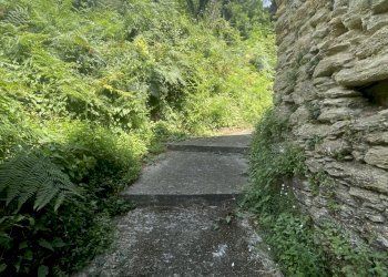 IMG_7105 2.JPG - Casale Seravezza - foto 22