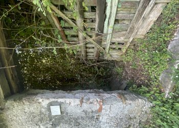 IMG_7106 2.JPG - Casale Seravezza - foto 23